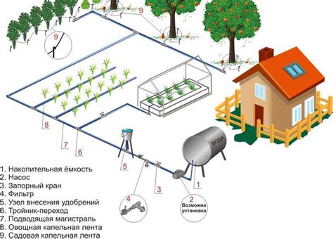 Автоматический полив огурцов без завязей с помощью капельного полива