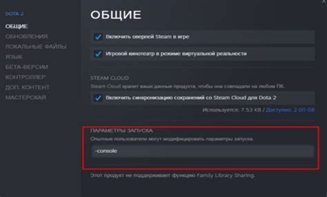 Активация консоли в Dota 2