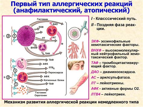 Аллергическая реакция: основные симптомы