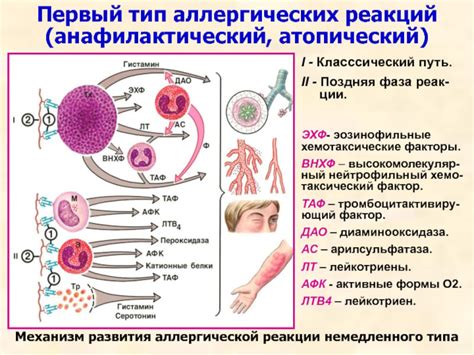 Аллергические реакции на непереваренные белки