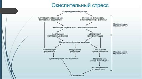 Анализ крови на признаки окислительного стресса