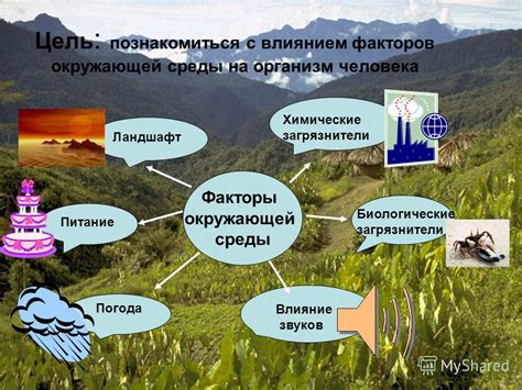 Анализ факторов, приводящих к уменьшению популяции ирбисов и их воздействие на вид