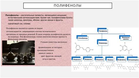 Антиоксидантные свойства экстракта облепиховых плодов