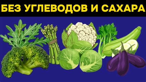 Балансирование рациона и включение полезных продуктов