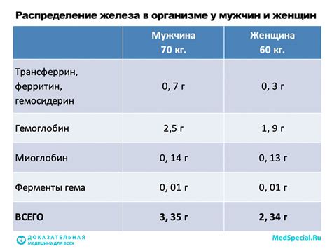 Балансировка уровня железа в организме: безопасные подходы