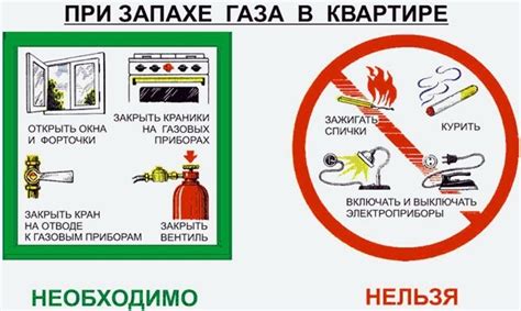 Безопасность при использовании дикой собаки: рекомендации и советы