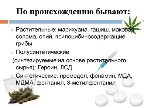 Биологически активные компоненты пустырника: их значения и влияние на организм