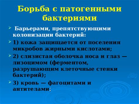 Борьба с бактериями: колоссальный потенциал чеснока