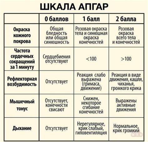 Важность высокой оценки состояния новорожденного по шкале Апгар на последующее развитие ребенка