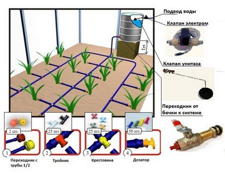 Важность обеспечения достаточного освещения в теплице