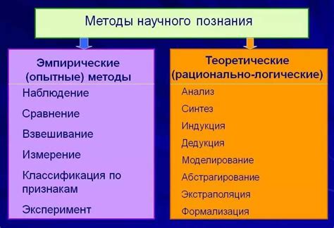 Важность поиска нишевого сегмента и методы его исследования