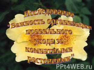 Важность правильного ухода за раной, которая прошла операцию