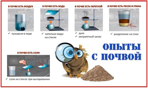 Варианты экспериментов с уникальной авокадовой смесью