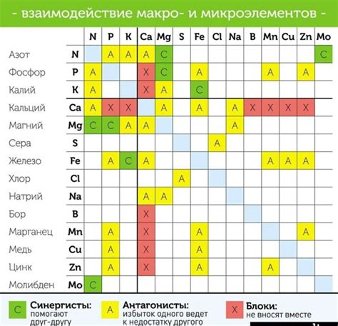 Взаимодействие селена с другими микроэлементами: возможные угрозы