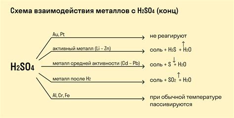 Взаимодействие с веществами, вызывающими аллергическую реакцию