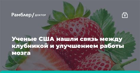 Взаимоотношение между чтением и улучшением фокусировки внимания