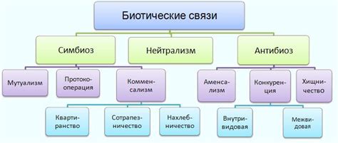 Взаимоотношения между молодым человеком и дамой: суть и значение ласкового прикосновения