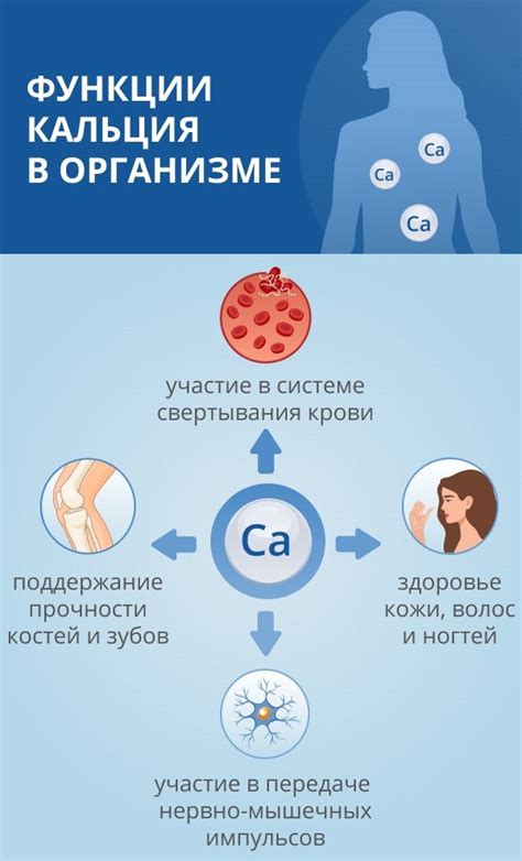 Влияние алкогольного опьянения на содержание кальция в организме