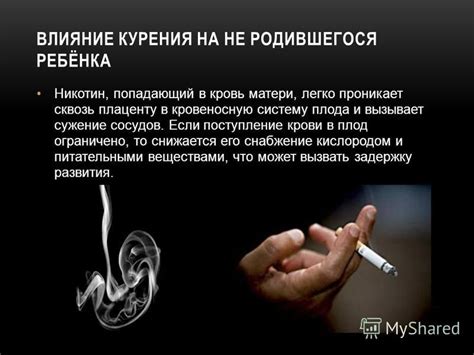 Влияние алкоголя и никотина на состояние нервной системы и психику: экспертные рекомендации