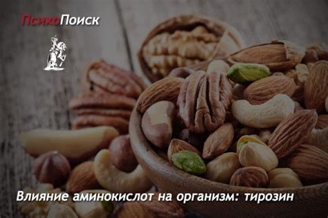 Влияние аминокислот на здоровье организма