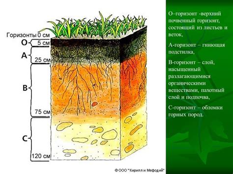 Влияние атмосферных явлений на изменение окраски почвы