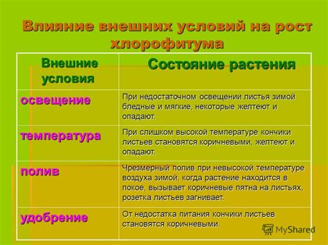 Влияние внешних факторов на представление коричневых выделений и возможные решения