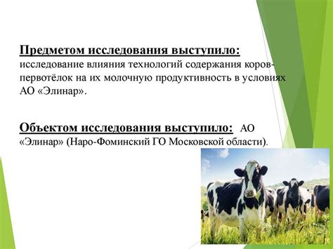 Влияние комфортных условий содержания на продуктивность птицы