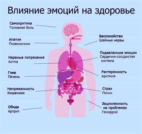 Влияние на здоровье человека: защита и поддержка организма