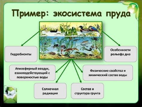 Влияние на природу и биологическое разнообразие в прибрежных зонах