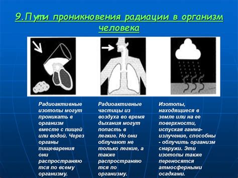 Влияние окружающей среды и общество