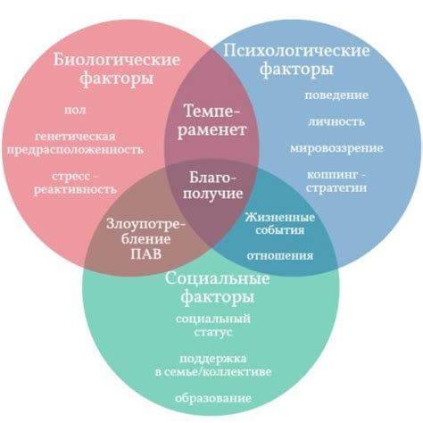 Влияние окружения на поведение подростка с несоциализированным расстройством