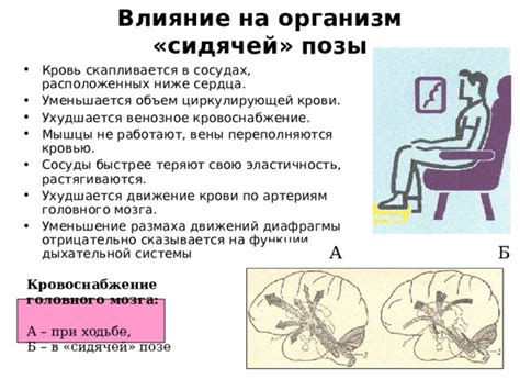 Влияние правильной постельной позы на приток крови в малый таз