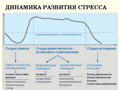 Влияние стресса и психоэмоциональных проблем на функционирование организма