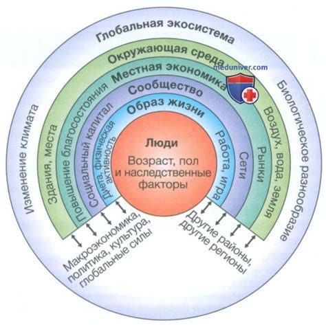 Влияние факторов на здоровье глаз и качество зрения