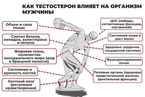 Влияние факторов на показатели давления: почему уровень может быть низким