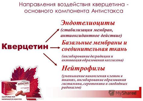 Воздействие активного состава препарата на организм