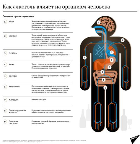 Воздействие низкой поглощаемости углеводов на организм