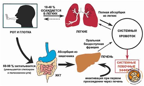 Возможные побочные эффекты при использовании капель