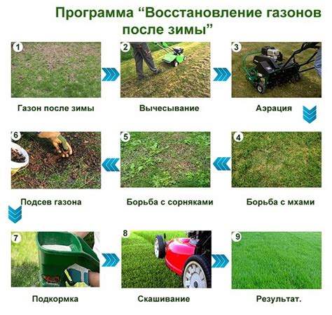 Восстановление зеленого цвета газона с помощью удобрений