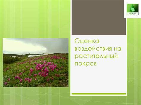 Вредные воздействия зимних условий на травяной покров