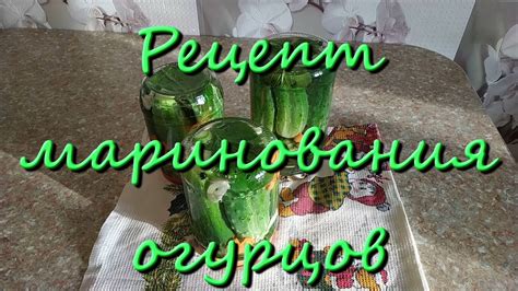 Время выдержки огурцов в рассоле: ключ к прозрачности и свежести