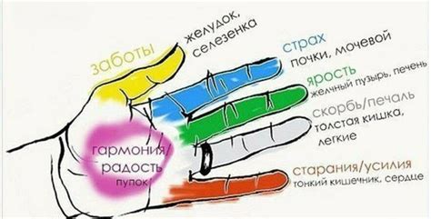 Выберите правильное место для процедуры пункции пальца