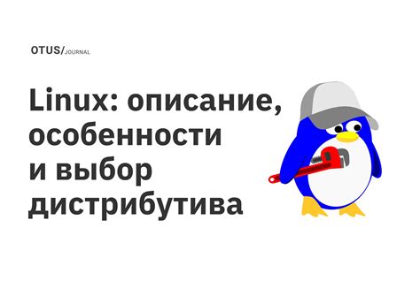 Выбор дистрибутива и процесс установки операционной системы