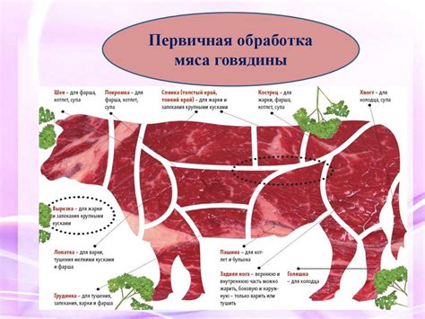 Выбор мясных продуктов и подготовка ингредиентов