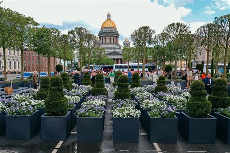 Выбор подходящего расположения для разведения мини-деревьев в горшках