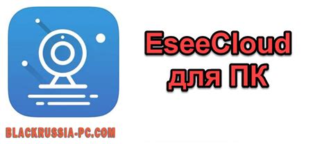 Выбор подходящей версии приложения для просмотра eseeCloud