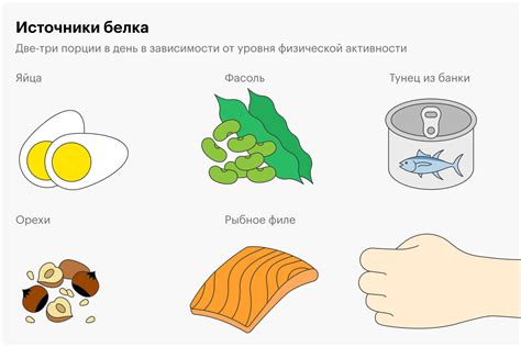 Выбор правильных источников белка для достижения целей в питании