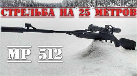 Выбор цели для настройки метки на воздушке mp 512: указания и рекомендации