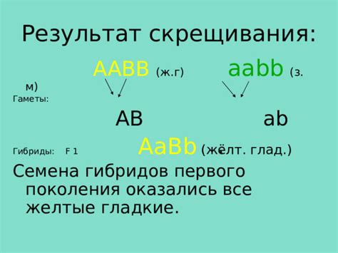 Гаметы без перекрестного скрещивания: основное понятие