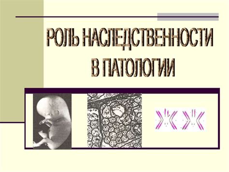 Генетические нарушения и избыточное содержание железа: роль наследственности в развитии патологии